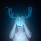 Tiger Really - Mayfly Daydream