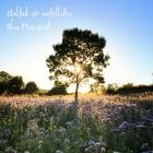 Haltak  satellites - This Moment