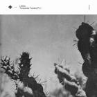 Leiras - Turquoise Tundra Pt I