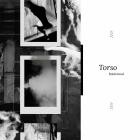 Torso - Rotational