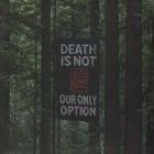 Clique - Death Is Not Our Only Option