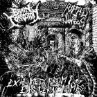 Brain Corrosion Ripped To Shreds - Exhumed From Eastern Tombs