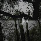 Aura Minimum - Central Key [nexus]