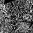 Weaving Shadows - Existential Decay