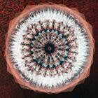 The Expert - Extra Visions