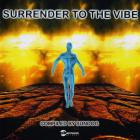 VA - Surrender To The Vibe Complied By Sundog