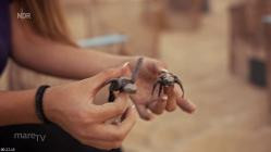 MareTV.E401.Mexikos.Meeresparadies.Die.Halbinsel.Baja.California.GERMAN.DOKU.WS.HDTVRip.x264-Goodboy