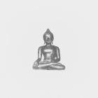 Dhyana - Amata