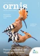 ornis 03/2025