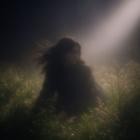 ANTHI - Alles An Dir