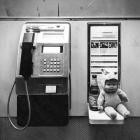 Dear Seattle-TOY-24BIT-88KHZ-WEB-FLAC-2025-FLACCiD