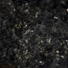 Jero Clares - Parallel Realms