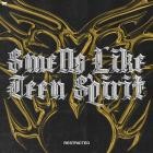 Nic Johnston - Smells Like Teen Spirit