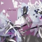 Isabel Soto - Morphosis