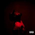 Bocha And GotDamnitDupri - - RED GRAPES Volume 1  