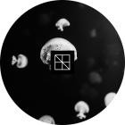 Stijn Vanmarsenille - Underneath The Sea Lies An Ocean Part 1