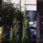 Shinichi Atobe - Silent Way