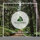 Taiga Dub Action - Falsch Fiktion