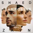 Shaed And Zayn-Trampoline  Joel Corry Remix -Single-16BIT-WEB-FLAC-2019-SYMPHONY