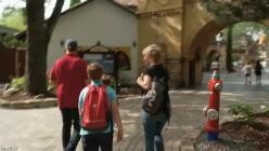 Faszination.Freizeitpark.Wenn.die.Achterbahn.ruft.2024.German.DOKU.WEB.x264-CLASSiCAL