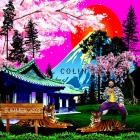 Colin - Summer 2023