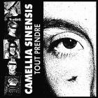 Camellia Sinensis - Tout Prendre