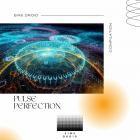 DJ Orracu - Pulse Perfection