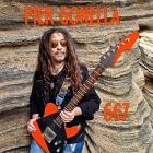 Pier Gonella - 667