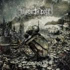 Brave The Cold - Scarcity