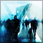 Stray View - DisplaceErase
