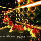 Fungus Funk - Electric Grooves