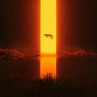 Gaerea-Loss-24BIT-44KHZ-WEB-FLAC-2026-FLACCiD