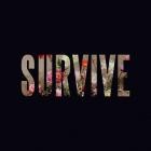 Lewis Capaldi - Survive