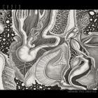 Cv313 - Dimensional Space [extended Edition]