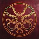 Vicious Rain - The Anatomy of Surviving