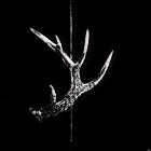 Antlr - ANTLR II (Redux)