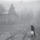 Vadim Neselovskyi - Perseverantia