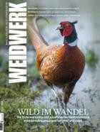 WEIDWERK 07/2026