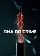 Code des Verbrechens - Staffel 1