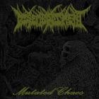 Disembodiment - Mutated Chaos