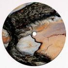 Tm Shuffle - Moelinae Taeysillae