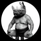 Conceptual - Between Sand And Roses