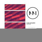 Luca Accardi - Leptons