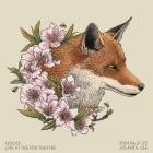 Goose - Live at The Fox Theatre
