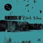 Hundreds Of AU - Hundreds Of Black Kites