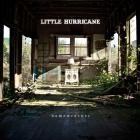 Little Hurricane - Homewrecker