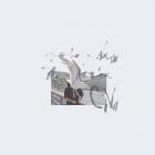 Ciro Vitiello - notes from the air