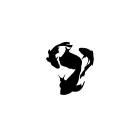 Phasmid - Immersions