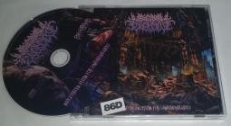 Visceral Explosion-Sanguineous Hymns for Disembowelment- BM198 -CD-FLAC-2025-86D
