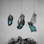 Lightworker-How The Beautiful Decay-24BIT-48KHZ-WEB-FLAC-2024-FLACCiD